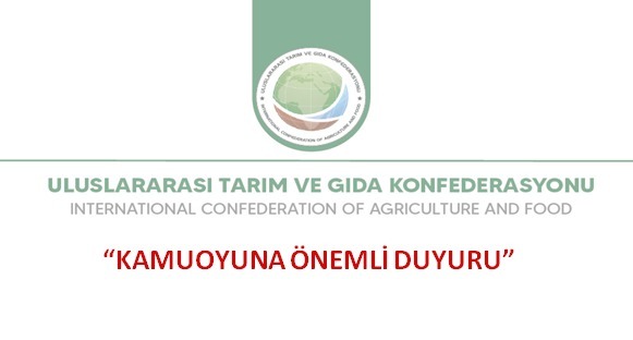 WhatsApp Image 2025-06-04 at 17.11.46